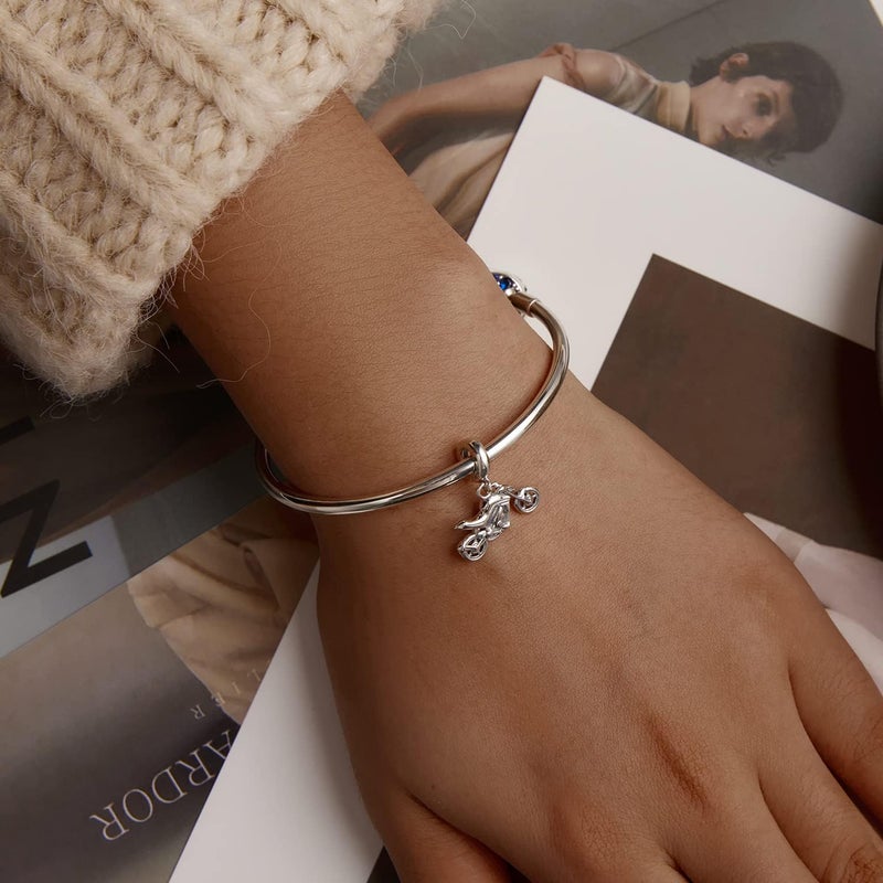 BABAMIA Store Rose Charm Heart Charms for Bracelets 925 Sterling Silver Bead Charm Fits Bracelets and Necklaces Paved with Cubic Zirconia Animal Skull Charm Dainty Halloween Charms Jewelry for Women Girls - Image 5